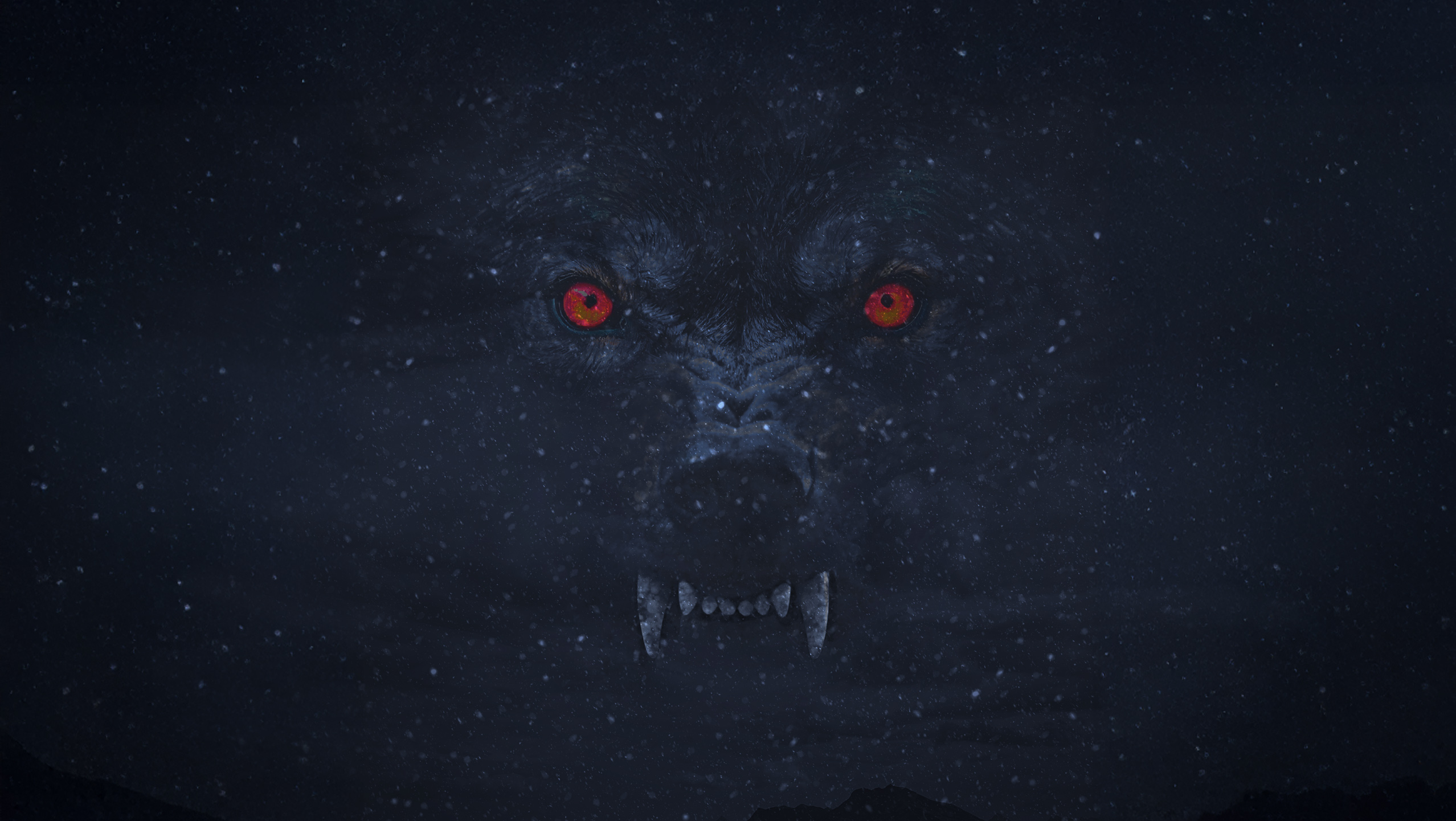 Loup du hédas